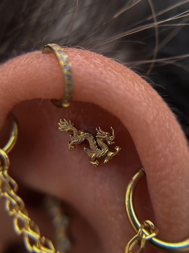 Piercing en el hélix con joya de oro en forma de dragón, aros y cadena