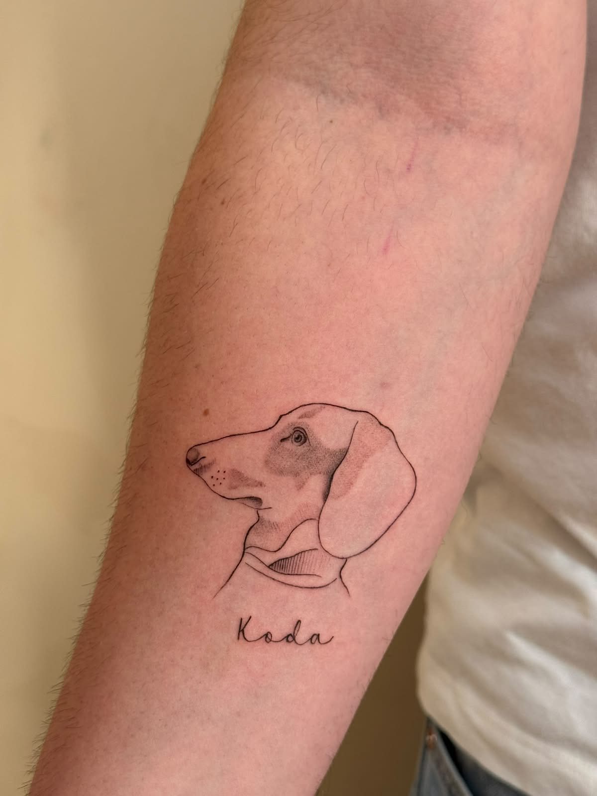 Tatuaje fine line del retrato de un perro en el antebrazo