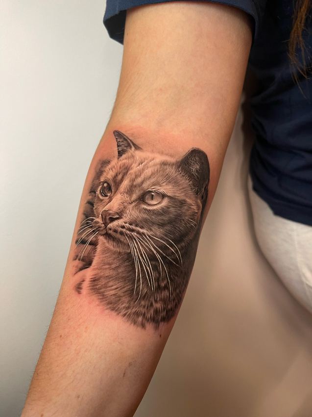 Tatuaje realista en blanco y negro del retrato de un gato, en el antebrazo